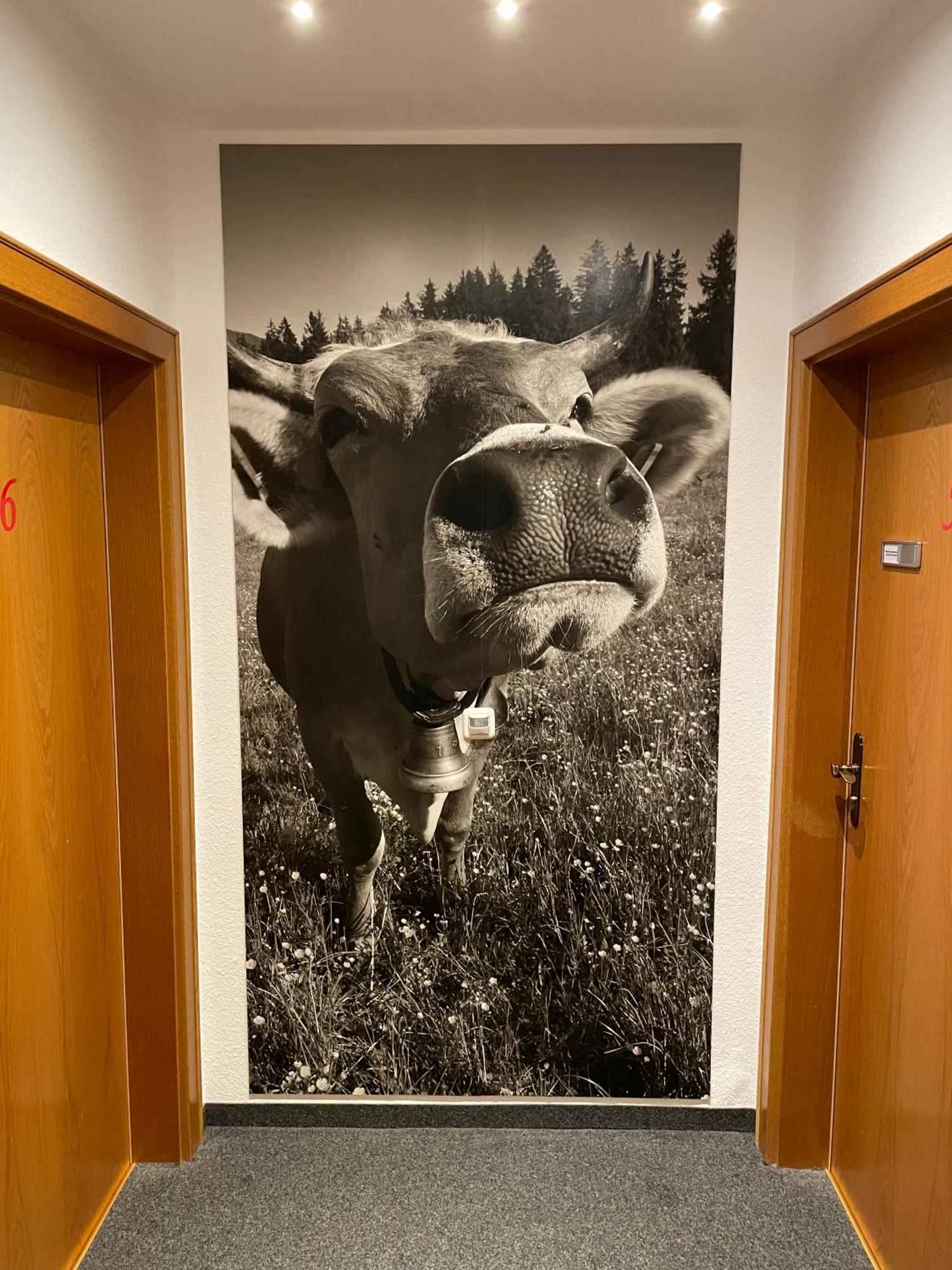 Hotel AlpIn Bed&Breakfast Fischen im Allgäu Exterior foto